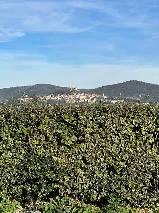 Villa Golfe De Saint Tropez Коголин